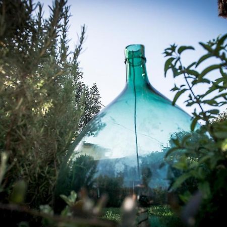 Casa Vittoria Villa Camaiore Bagian luar foto
