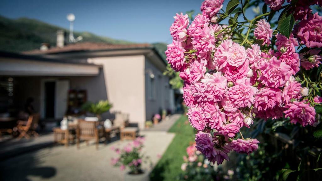 Casa Vittoria Villa Camaiore Bagian luar foto