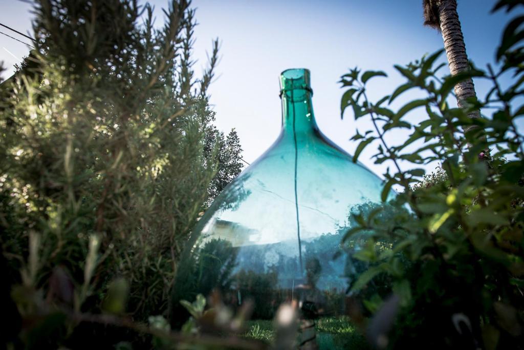 Casa Vittoria Villa Camaiore Bagian luar foto